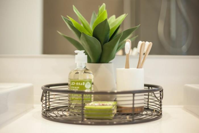 banyo için bitki, iç mekan bitki gölgesi, geometrik şekillerde küçük beyaz bir tencerede küçük aloe vera, nemi emen bitki, banyoda iki lavabo arasında bitki ile kompozisyon