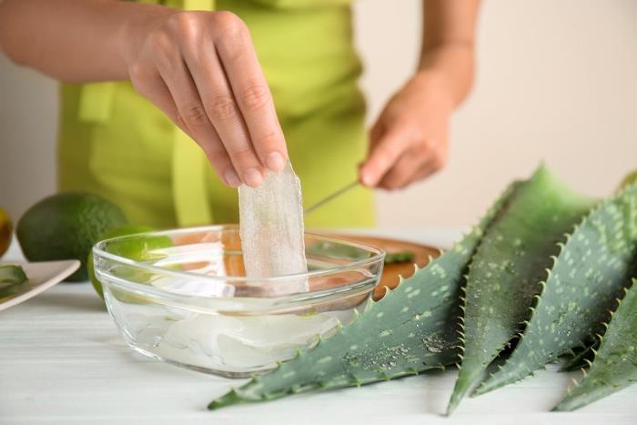 aloe vera tarifi özütleme jeli tıbbi bitki hazırlama maskesi sağlıklı saç anti yağlı