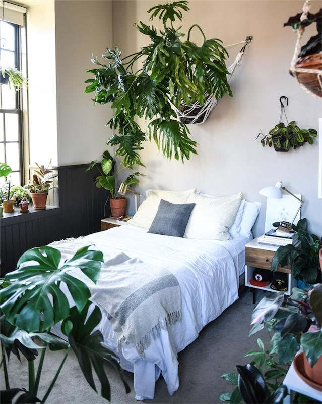 biserno sive stene, siva preproga, belo posteljnino, monstera deliciosa in druge zelene rastline v zaprtih prostorih, siva lesena podlaga
