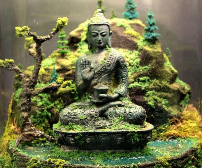 buddha-kip-vrt-postavitev