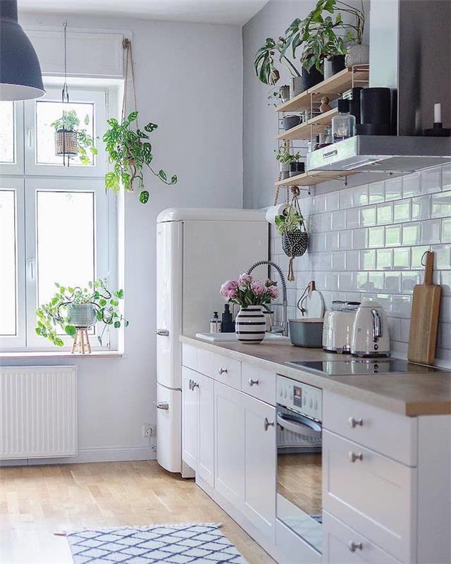 beyaz maubles ve asılı yeşil bitkiler ile küçük bir kapalı mutfak hazırlayın