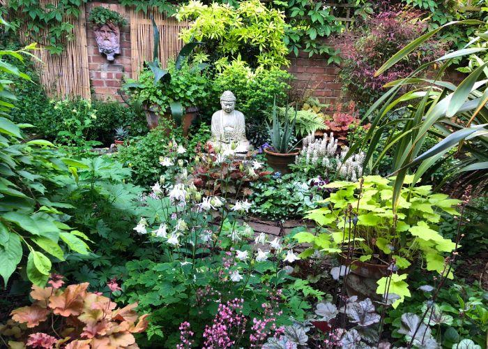 urejanje zen vrta s polno cvetoče vegetacije lončkov opečnata stena kipca Bude