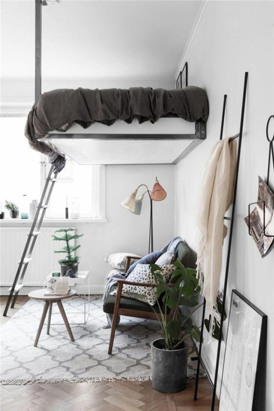 lova pakabinama nuo lubų, kad sutaupytumėte vietos, kaip sutvarkyti stuido 15m2, didelis augalų puodas, baltos ir pilkos spalvos kilimas