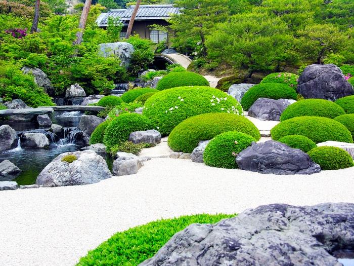 plėtoti savo japonišką zen sodą, žvyrkelius, krūmus ir žalią buksmedį, krioklį su tvenkiniu, japoniškus medžius