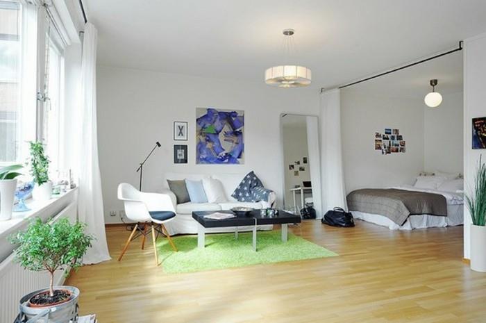 papuošti-mažą butą-žalią kilimą-augalus-veidrodžius-paveikslus