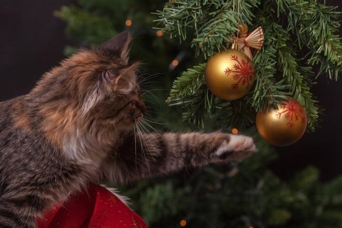 linksmų švenčių įvaizdis, kalėdiniai tapetai su kate ir netikra Kalėdų eglutė, papuošta auksiniais ir raudonais ornamentais