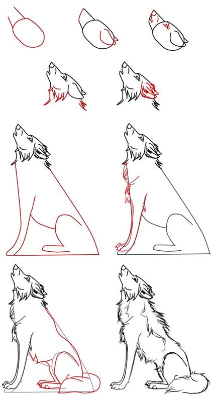 risba ideja enostavno reproducirati sebe, telo in glavo volka, da narišete sami, simbol moči