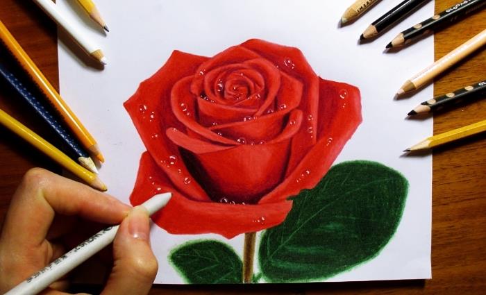 enostavna tehnika risanja cvetov, vzorec odprte vrtnice z rdečimi cvetnimi listi in zelenimi listi s svinčniki