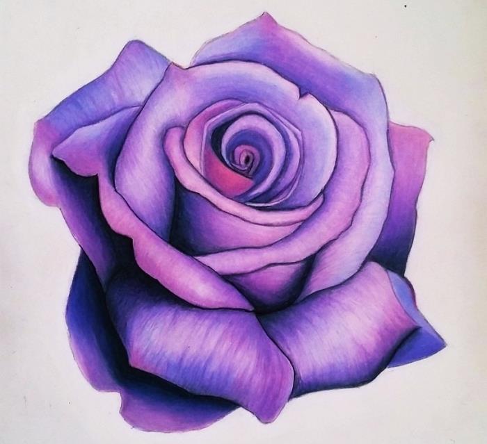 luštna risba prave vijolične vrtnice s tehniko sence in svetlobe, ideja, kako rožo narisati enostavno, risba rože realistična