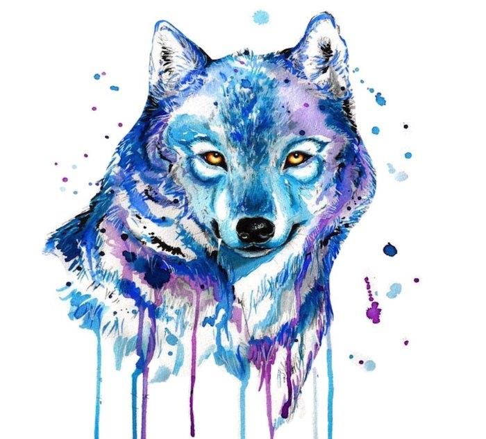 preprost primer risanja živali v akvarelu. volčja glava v razredčeni barvi, pretežno modra in vijolična