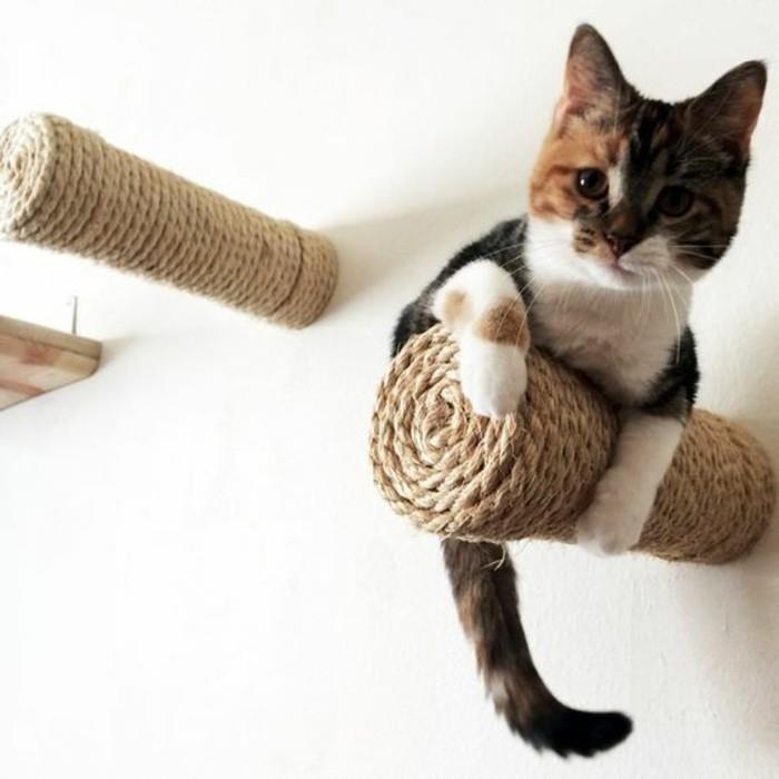 orijinal-duvar tırmanan-kedi-ağacı-kedi-tırmanıcı için