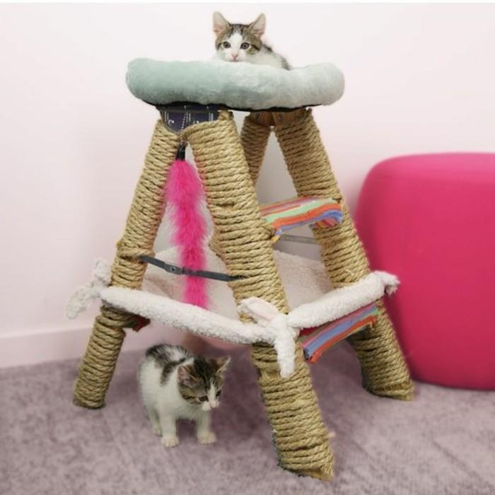kedi-ağacı-kedi-mobilya-kendin yap-tırmalama-post-hamaklı