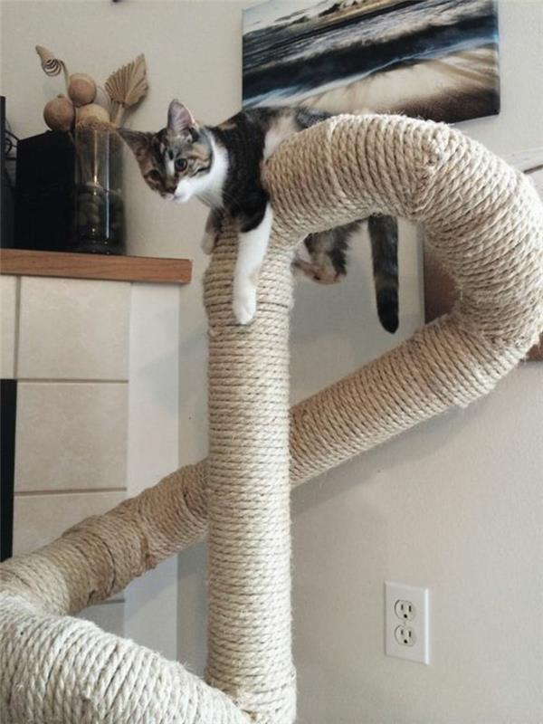kedi-ağacı-sisal-tübüler-kedi-tırmanıcı-kedilerin-ihtiyaçlarını-nasıl-karşılar