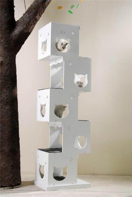 kedi-ağaçları-birkaç-kedi-tasarım-dikey için-nişler