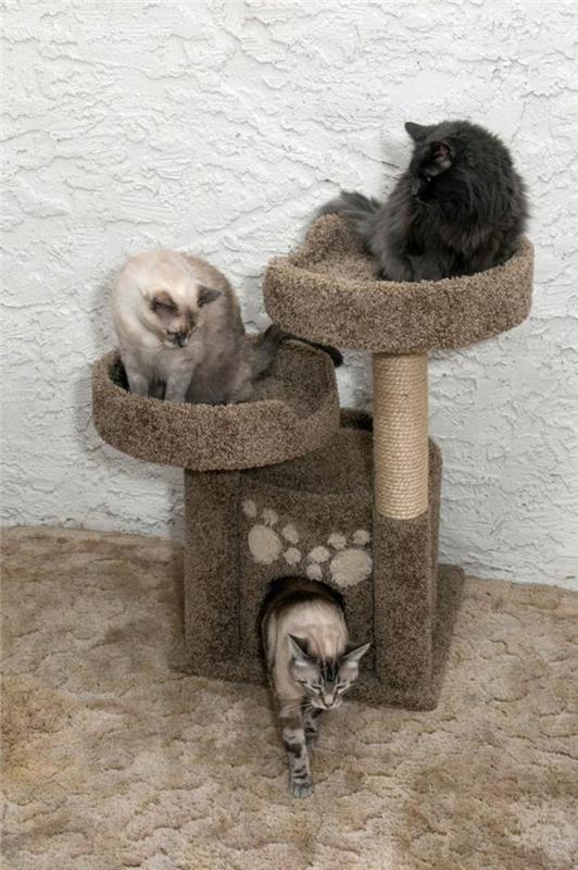 kedi-ağaçları-küçük-kedi-ağacı-bir-kulübesi-ve-iki-kedi-yatakları