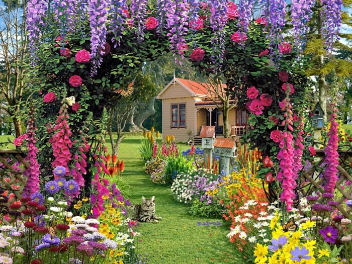 sodo, vejos ir kelio deko idėja su gėlėta arka ir gėlynu, miela katė, kaimo namas