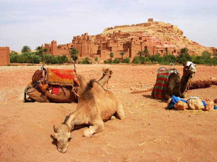 vernacular-architecture-ait-ben-haddou-eksotična destinacija