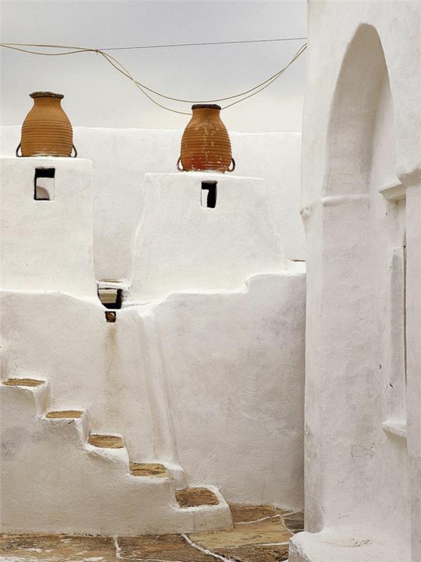 vernacular-architecture-biomimicry-architecture