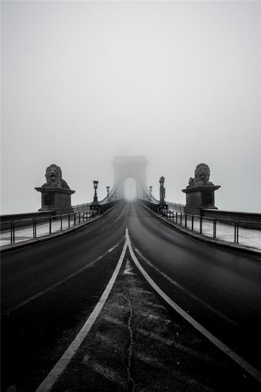 čudovita črno -bela fotografija verižnega mostu v Budimpešti na Madžarskem in njegovih dveh kipov, ki predstavljata dva leva varuha