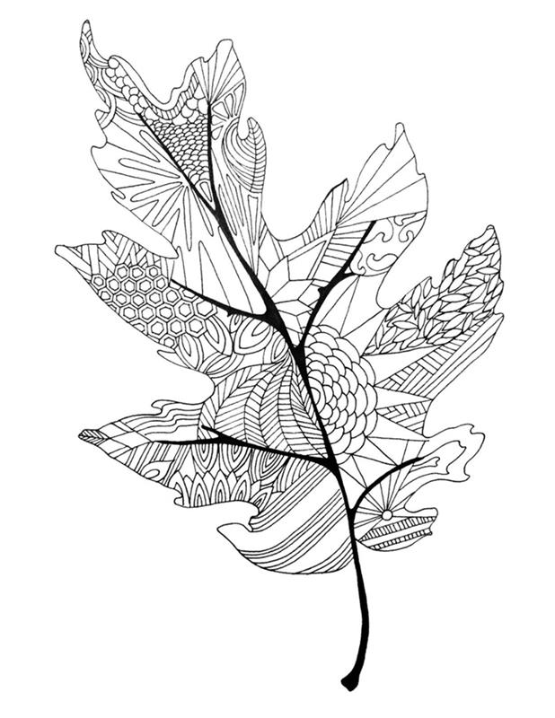meno dažymo puslapis suaugusiems modelio lapai mandalos detalės piešia baltos ir juodos rudens lapų dažymo linijas