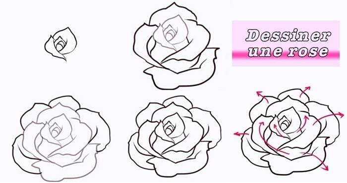 naredite črno -belo risbo cvetja s svinčnikom, vadnica s koraki, da se naučite risati odprto vrtnico