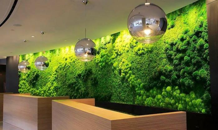 vidinis daržovių sodas, pakabinamos lempos metalinės spalvos, žalia samanų siena