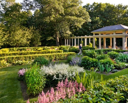 Jardín de la casa decorado con astilba