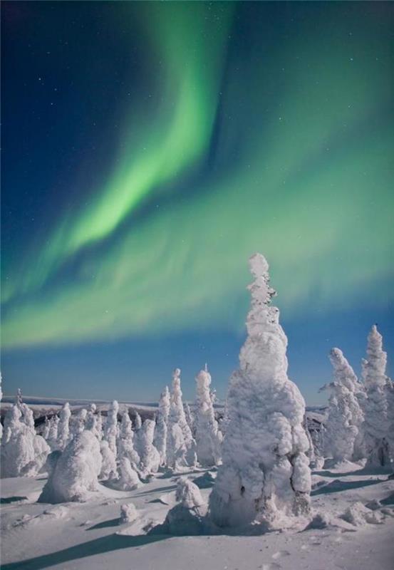 kuzey ışıkları-alaska-ormanı-ve-gökyüzündeki yeşil ışıklar