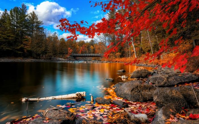 jesen-pokrajina-narava-listi-jesen-lepota-jezerski most