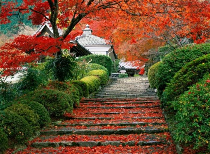 jesen-krajina-narava-listi-jesen-stopnišče-azijska hiša