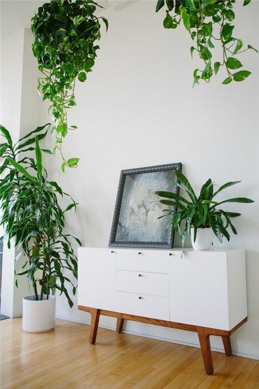 indauja-balta-balta-lakuota-parketas-grindys-šviesiai-mediena-kambariniai-žali augalai