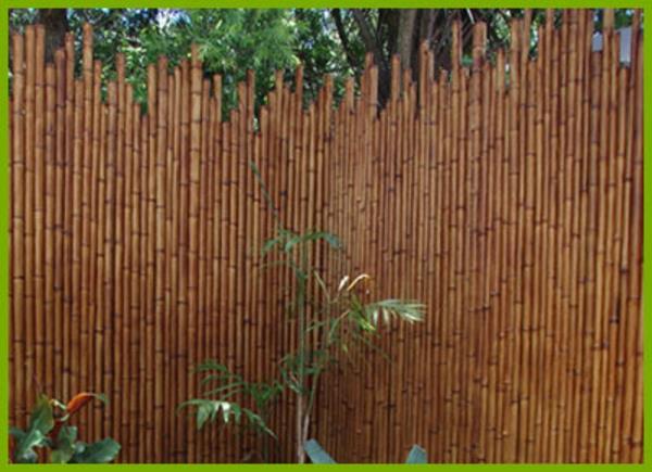 bambuko tvora-už sodą