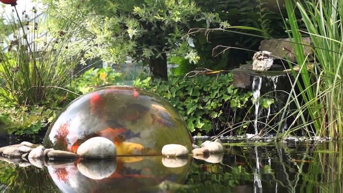 tvenkinys-karpis-koi-burbulas-vandens-sodo ornamentas