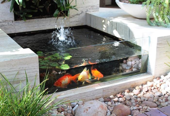 koi-basein-design-small-tvenkinio ornamentas-japoniškas-kiniškas-modernus-karpis