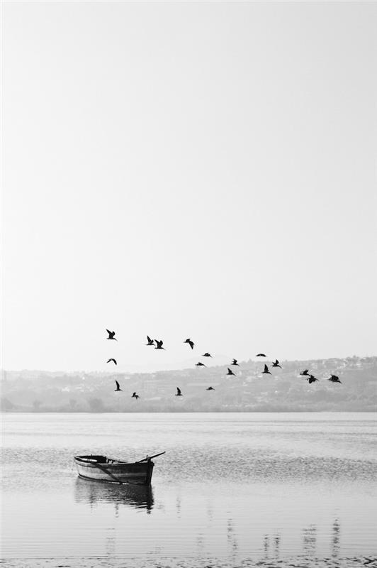 Črno -bela fotografija jezera in majhnega čolna, ptice v letu, čudovite bele ozadje, črno -bela fotografija pokrajine