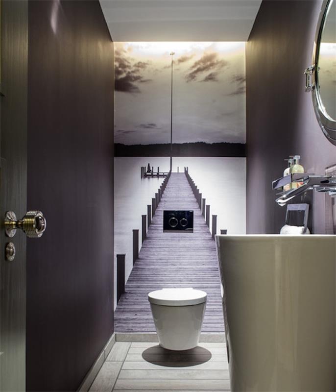 ideje za dekoracijo kopalnice, ozko stranišče, s temno rjavimi stenami in belim stropom, ena stena je okrašena s foto ozadjem, ki prikazuje sprehajalno pot, sodoben bel umivalnik in WC školjka