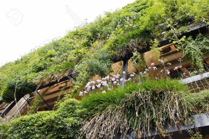 žalia siena padėkle, vertikalus auginimas, pastatas, kurio fasadas padengtas žaliomis ir rožinėmis gėlėmis, balkonai, gerai izoliuoti nuo triukšmo ir smalsių akių