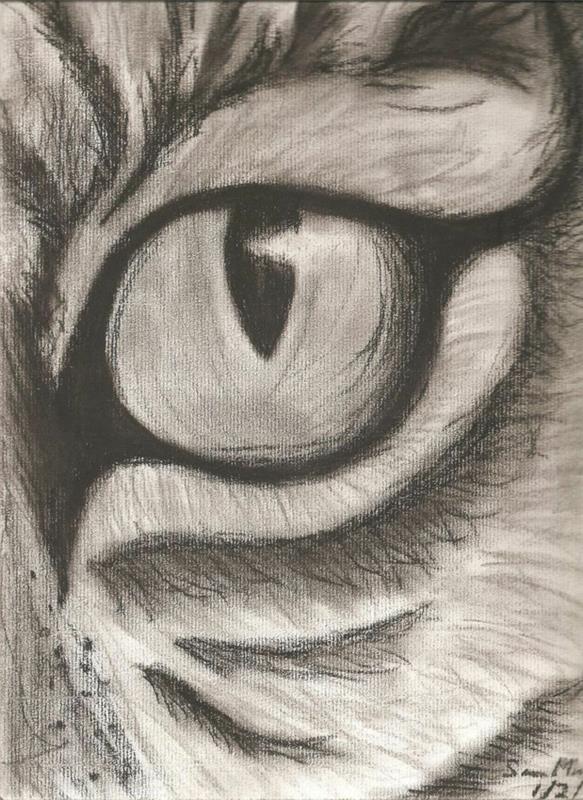Bir hayvan gözü karakalem çizim fikri, çoğaltılması kolay çizim, hayvan portresi fikri, ana hatlarıyla kaplan gözü