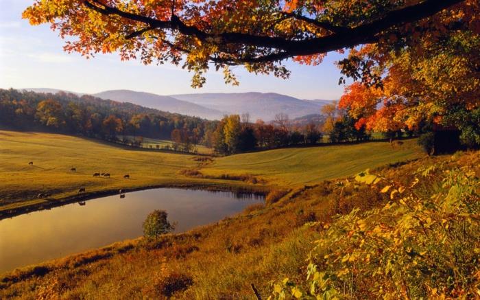 lepota-narave-krajina-v-jeseni-jezero-drevo-trava-hribi