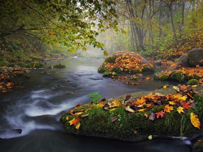lepa-slika-za-prenos-jesen-pokrajina-lepa-reka