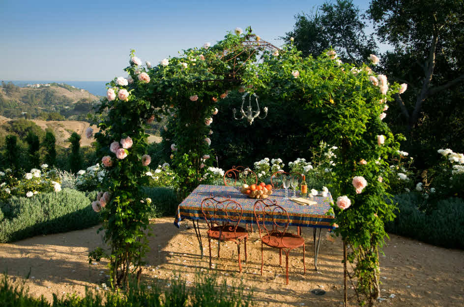 mirador-vivo-con-rosas