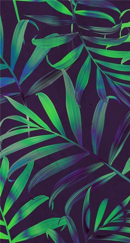 yeşil ve mavi palmiye yaprakları, sevimli iphone duvar kağıtları, siyah arka plan