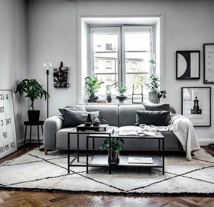 baltos sienos, medinės grindys, spalvos, derančios prie pilko, juodo metalo kavos staliukas, baltas kilimas, pilka sofa