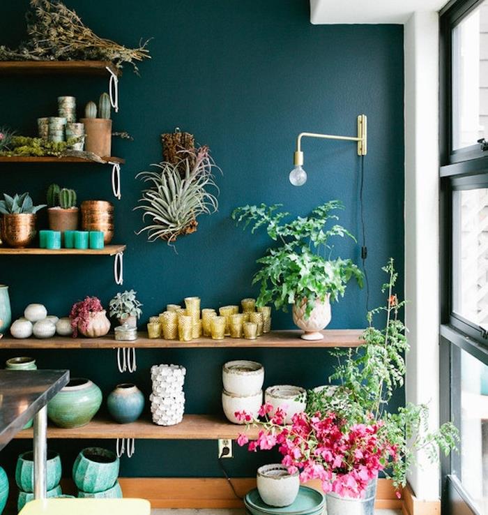 petrolej modra barva za naglasno steno, police iz surovega lesa, preobremenjene z rastlinami, svečami, okrasnimi lonci in vazami, miza iz nerjavečega jekla