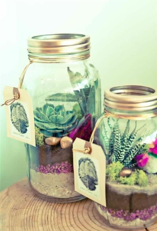 original-candy-wedding-candy-box-glass-box-green-plant-cactus-in-jar