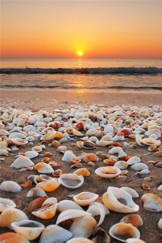 pajūris-nuostabus paplūdimys-užgrobtas saulėlydžio metu