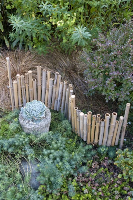 originalus sodo išdėstymas, sukulentai, pasodinti šalia bambuko gyvatvorės, sausos žolelės