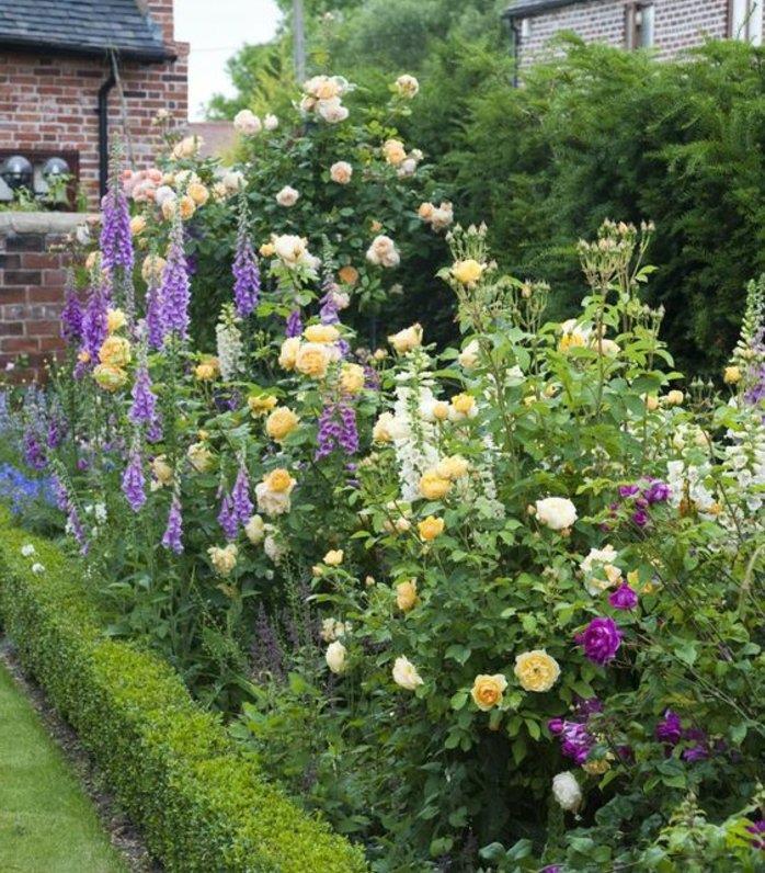 gredica, rdeče in rumene vrtnice, nizek šimšir, izpostavljena opečna hiša, travnik, zanimiva vrtna genialna ideja