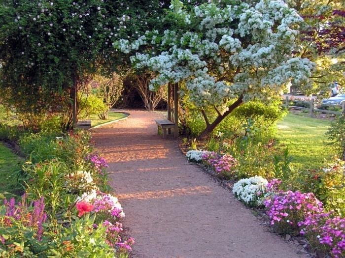 baltų ir rausvų gėlių siena, palei alėją, medį baltomis gėlėmis, medinį suolą, poilsio zoną lauke