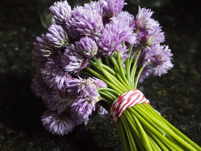 buket-çiçekli-Chives-otlar-veya-aromatik-bitki